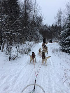 tremblant-dogsled-1